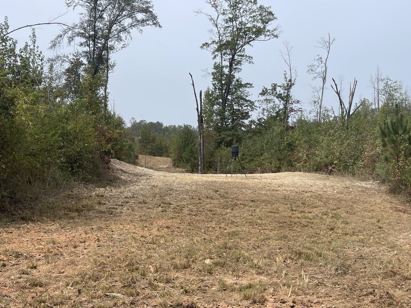 0 Twin Lake Road, Fayette, AL 35555 MLS 11253947 LandWatch