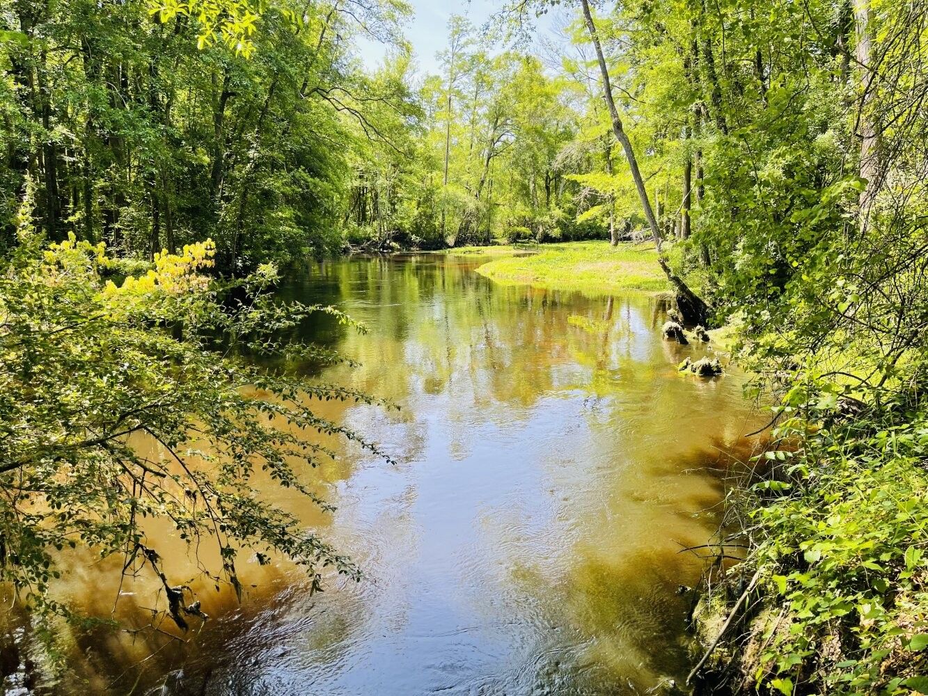 Clark Rd, Maxton, NC 28364 MLS 11253762 LandWatch