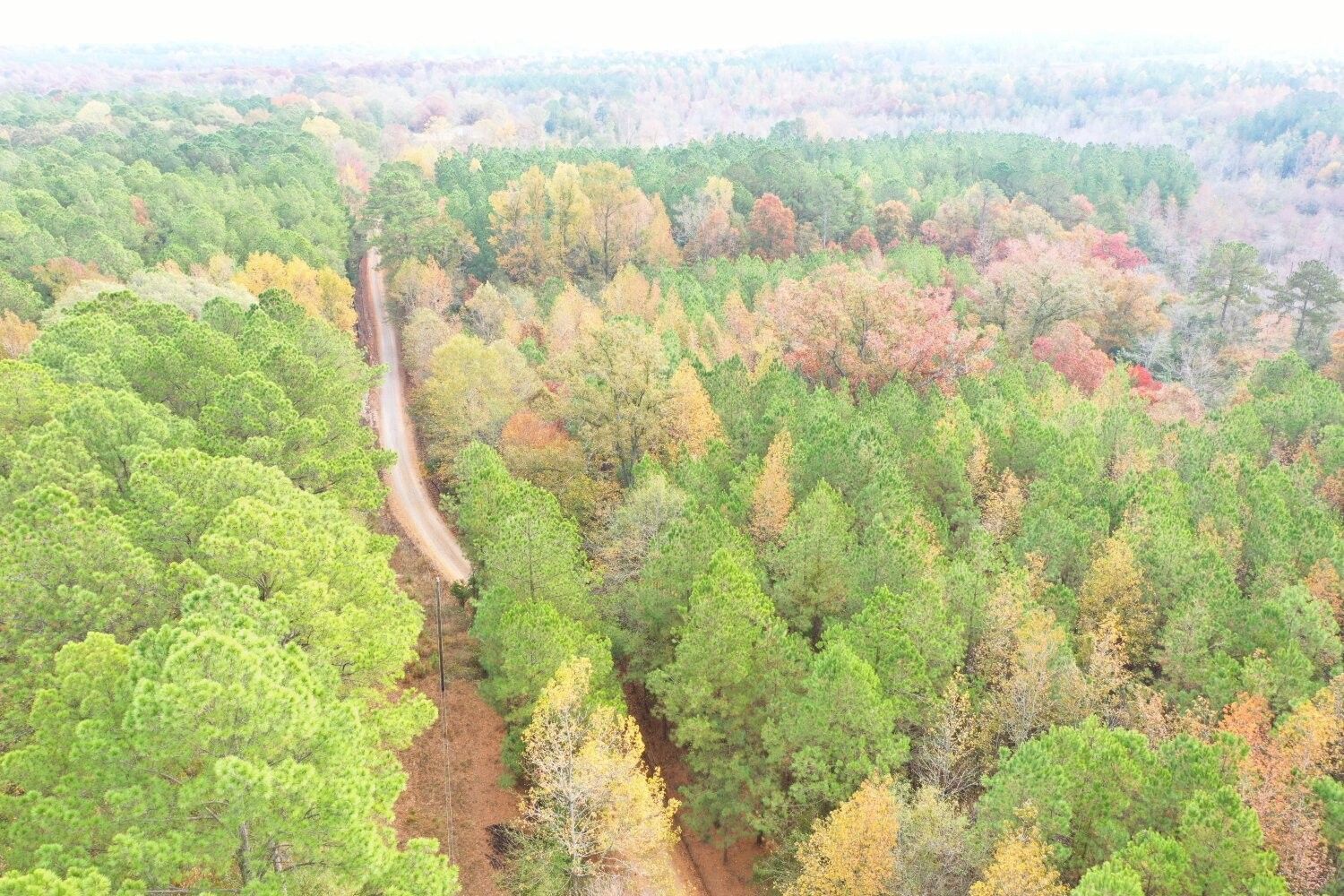 Carthage, Leake County, MS Undeveloped Land for sale Property ID