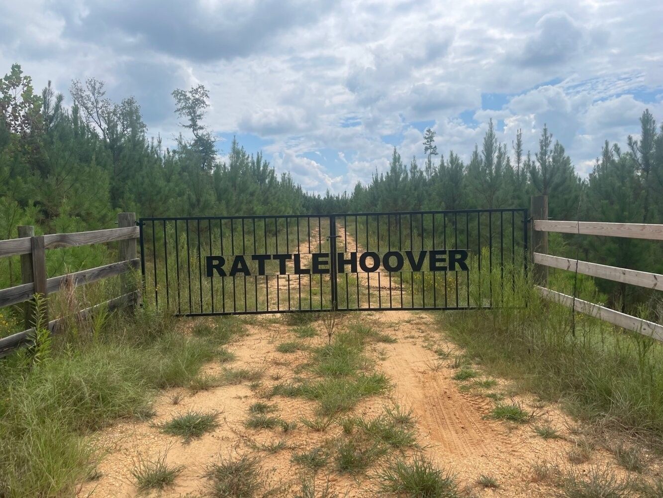 Akron, Hale County, AL Undeveloped Land for sale Property ID 419046329