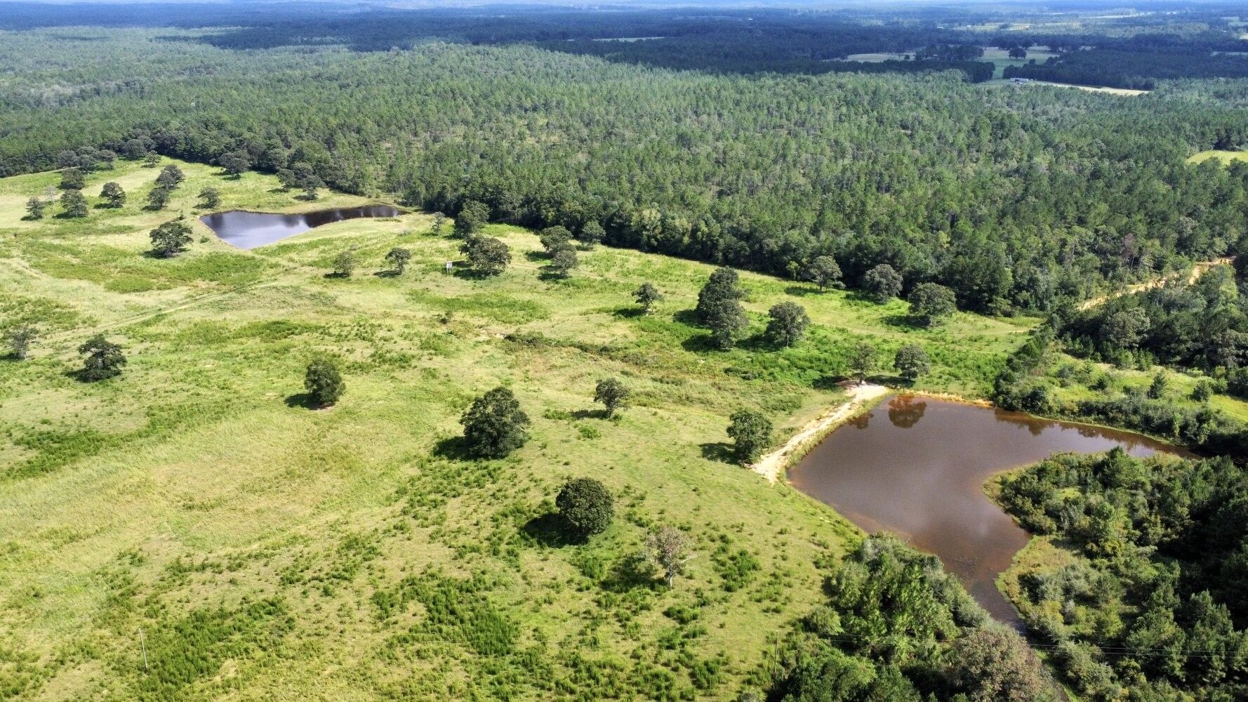 0 Stateline Copeland Road, Chatom, AL 36518 MLS 11253735 LandWatch