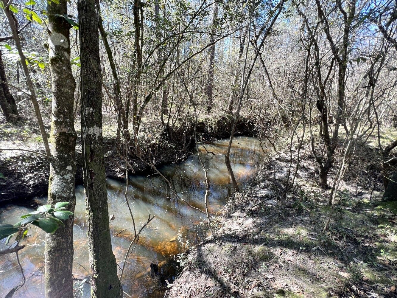 Wagarville, Washington County, AL Undeveloped Land for sale Property ID