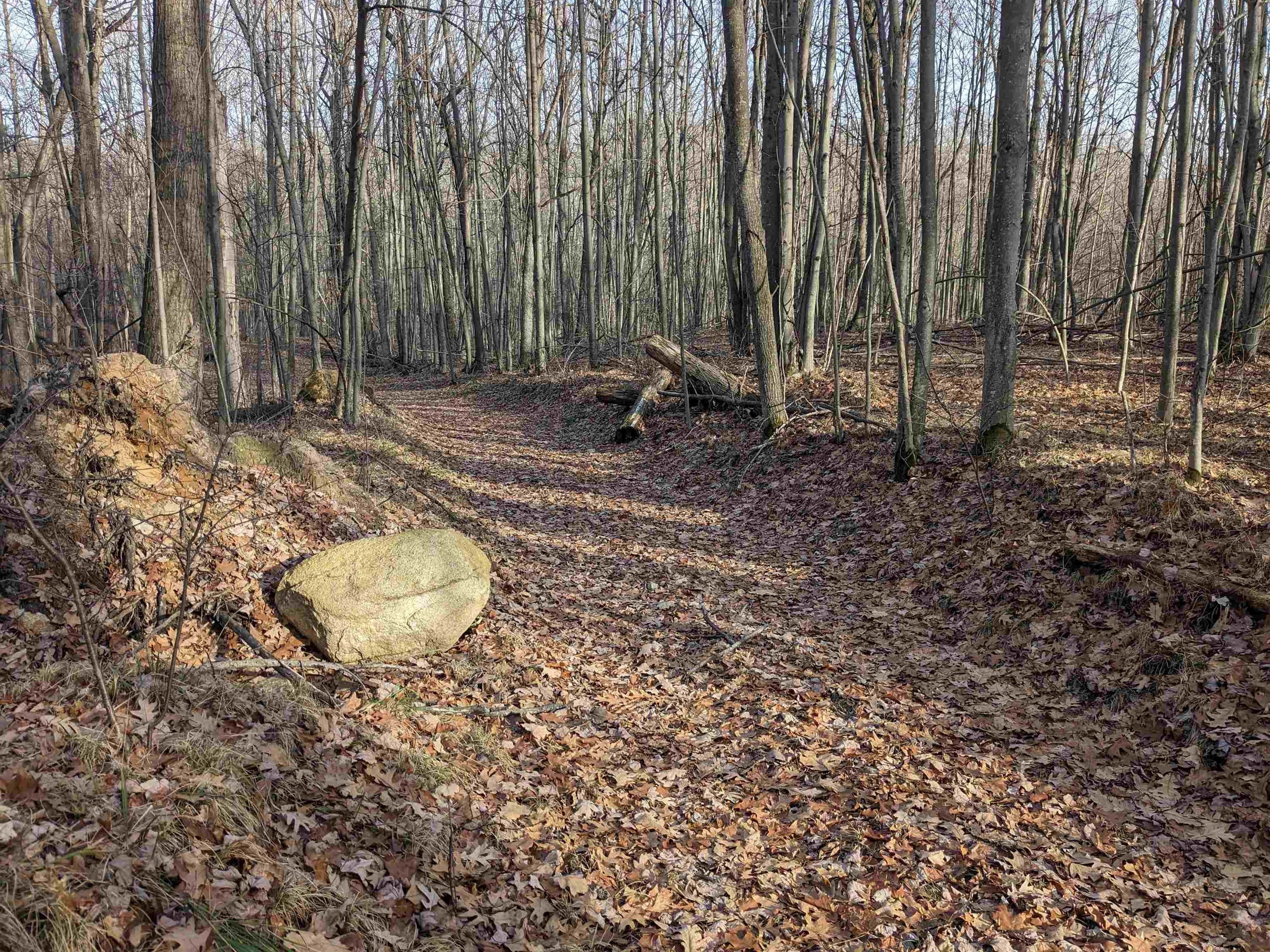 Harrison, Clare County, MI Undeveloped Land for sale Property ID