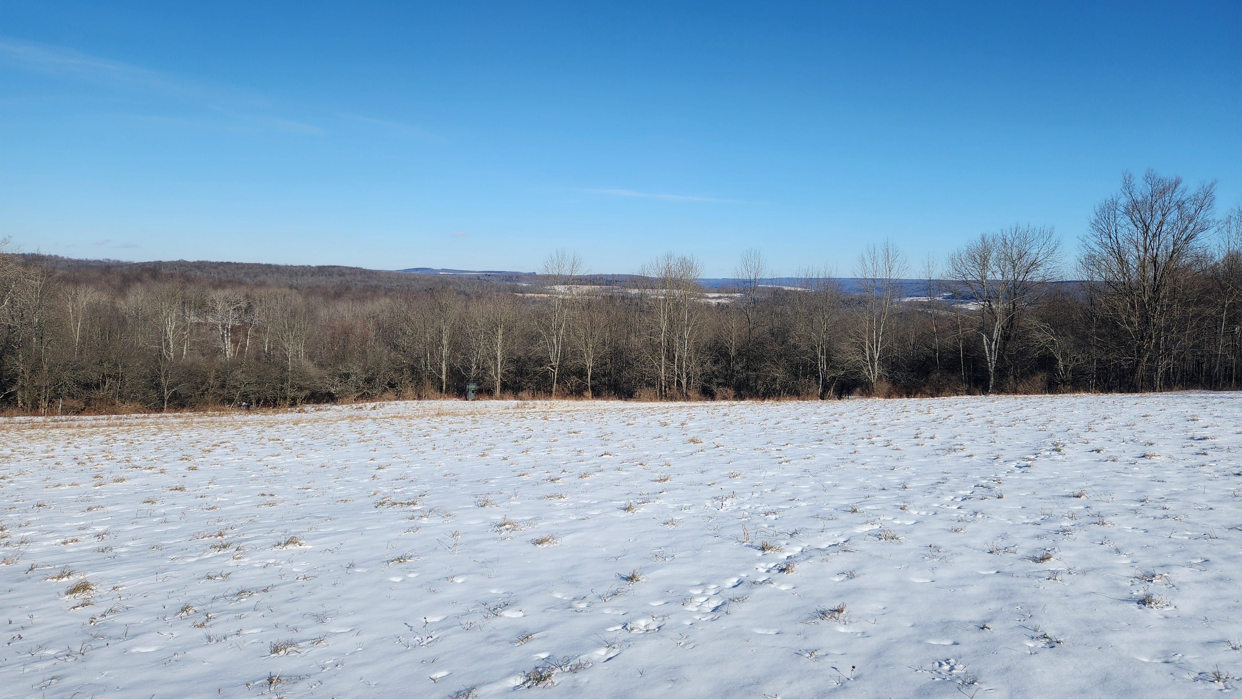 Duke Road, Cincinnatus, NY 13040 LandWatch