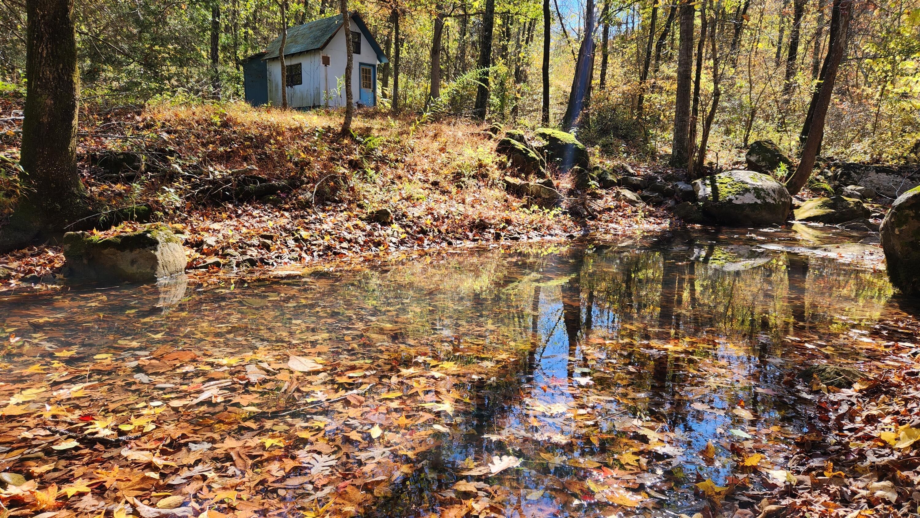 Jasper, Newton County, AR Undeveloped Land for sale Property ID