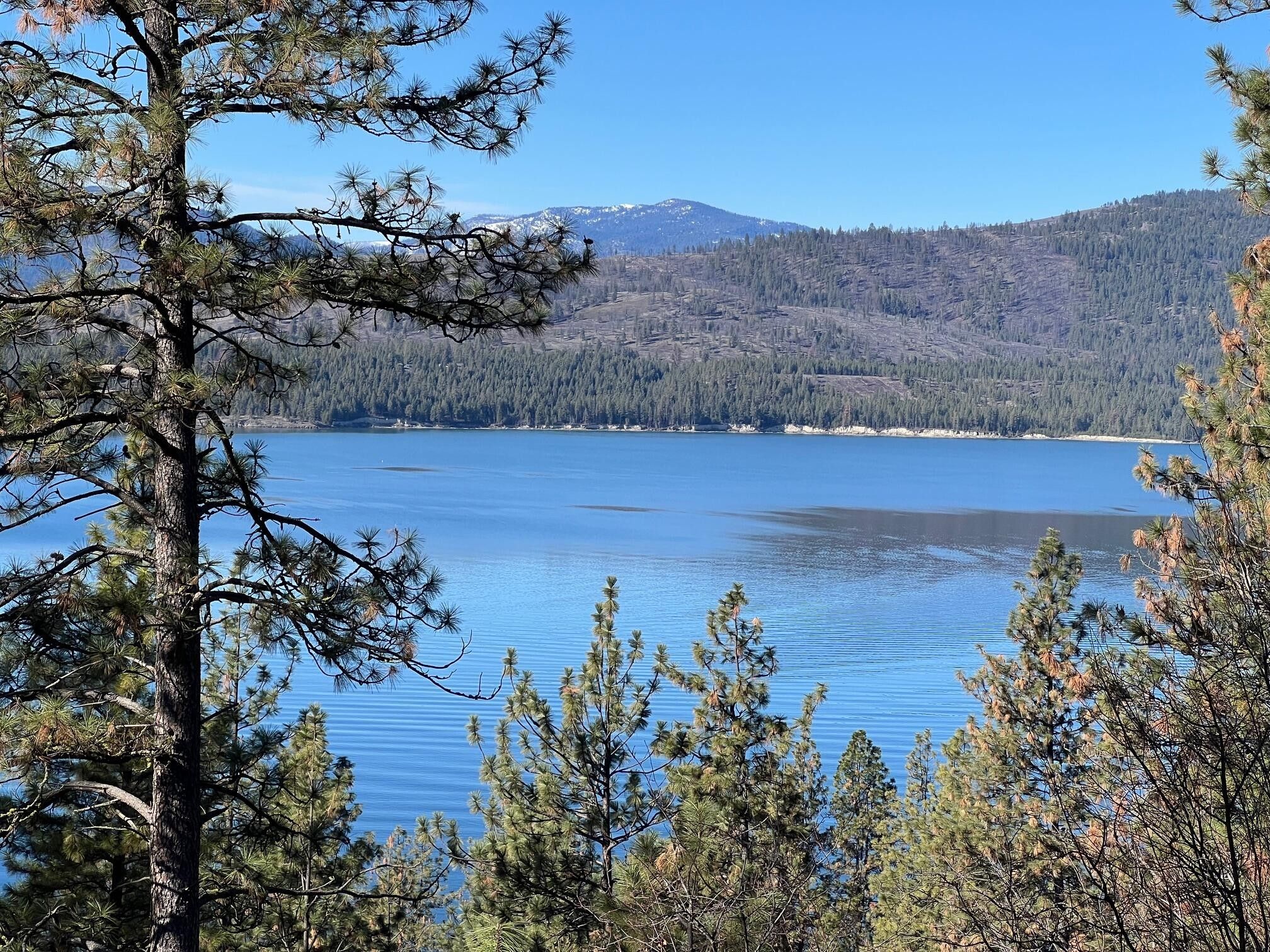 X VISTA RIDGE WAY, Gifford, WA 99131 MLS 42107 LandWatch