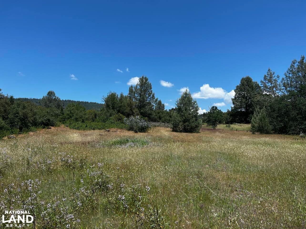 Manton, Shasta County, CA Undeveloped Land, Horse Property for sale