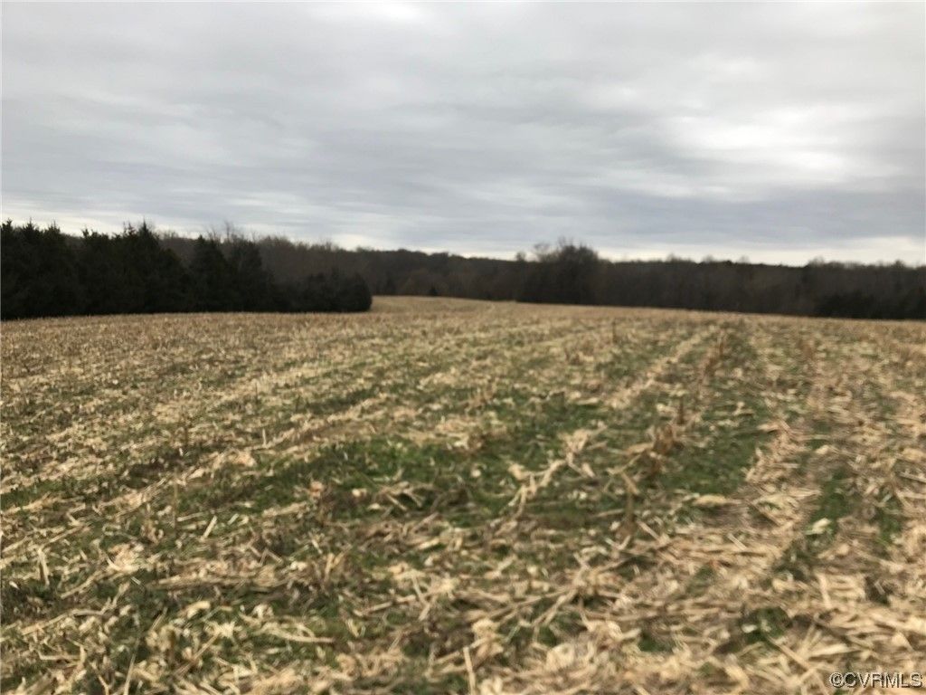 Amelia, Amelia County, VA Undeveloped Land for sale Property ID