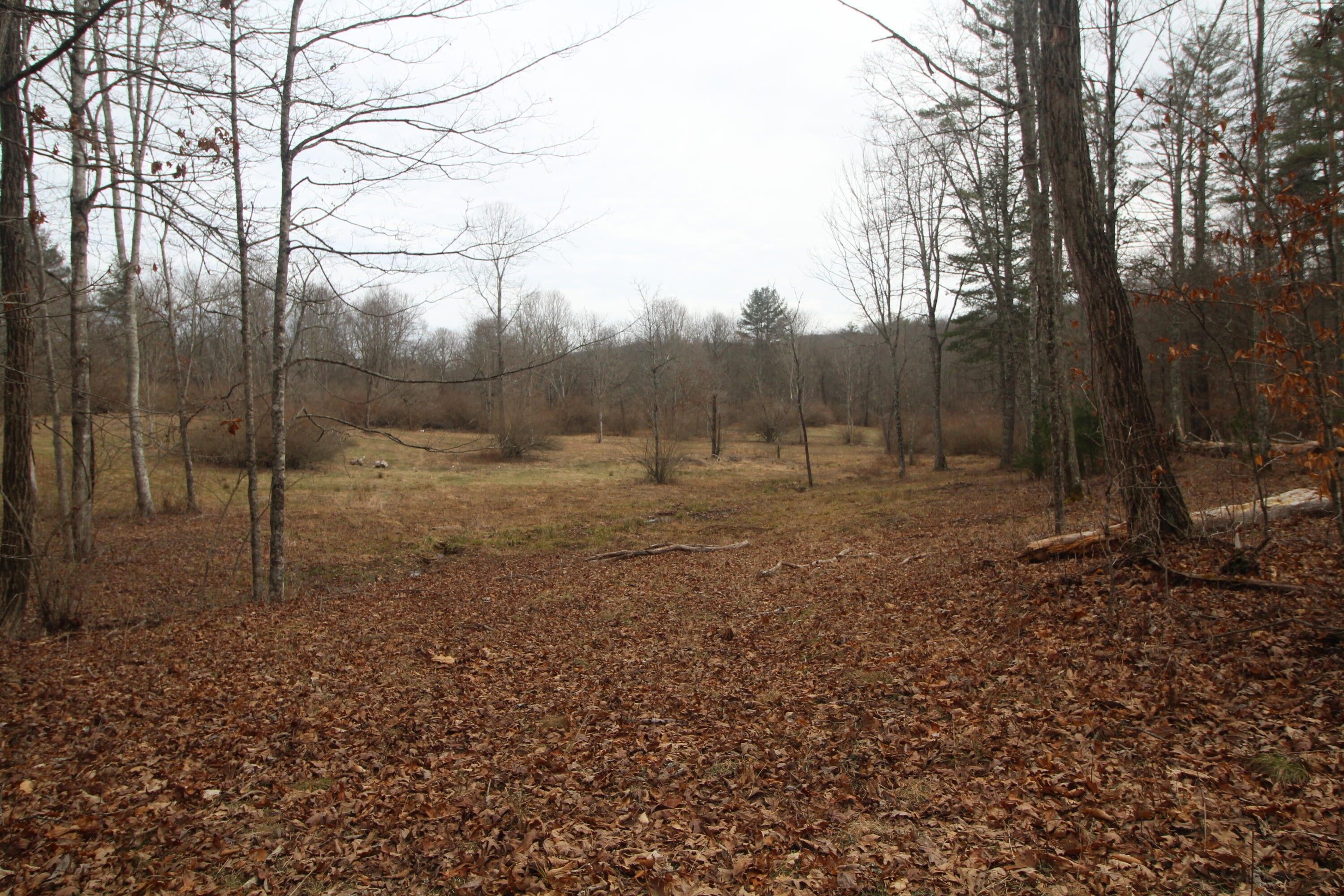 Stonehenge Parkway, Lewisburg, WV 24901 MLS 24254 LandWatch