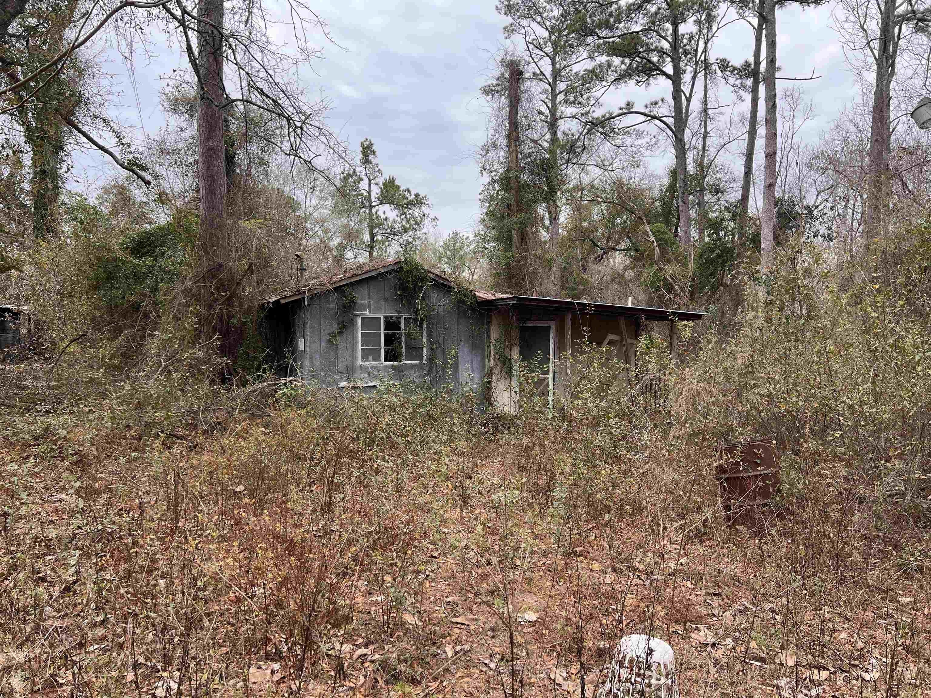 Bristol, Liberty County, FL Undeveloped Land, Lakefront Property