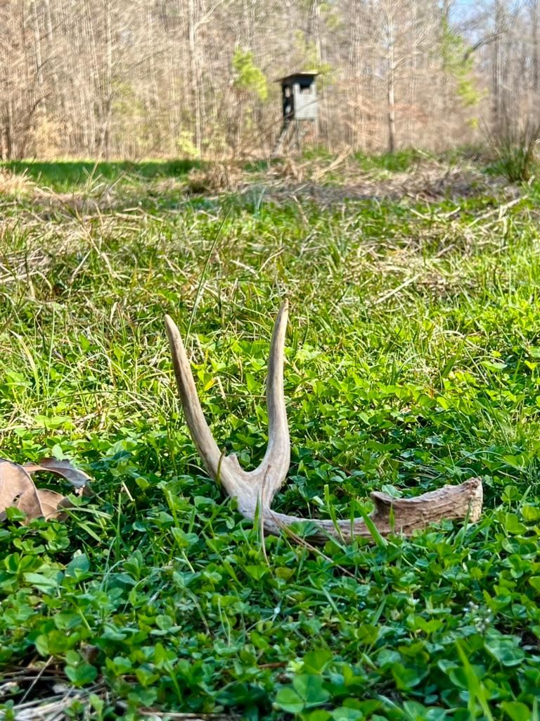 Bolivar, Hardeman County, TN Farms and Ranches, Recreational Property