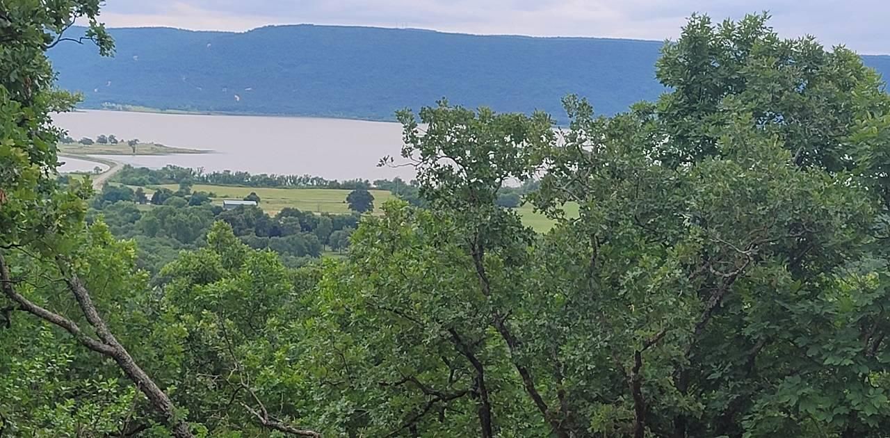 TBD Wolf Mountain Road, Yanush, OK 74574 MLS 11182220 LandWatch