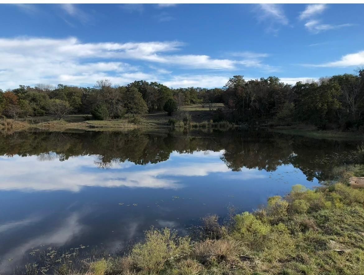 Chico, Jack County, TX Farms and Ranches, Hunting Property, Lakefront Property, Waterfront