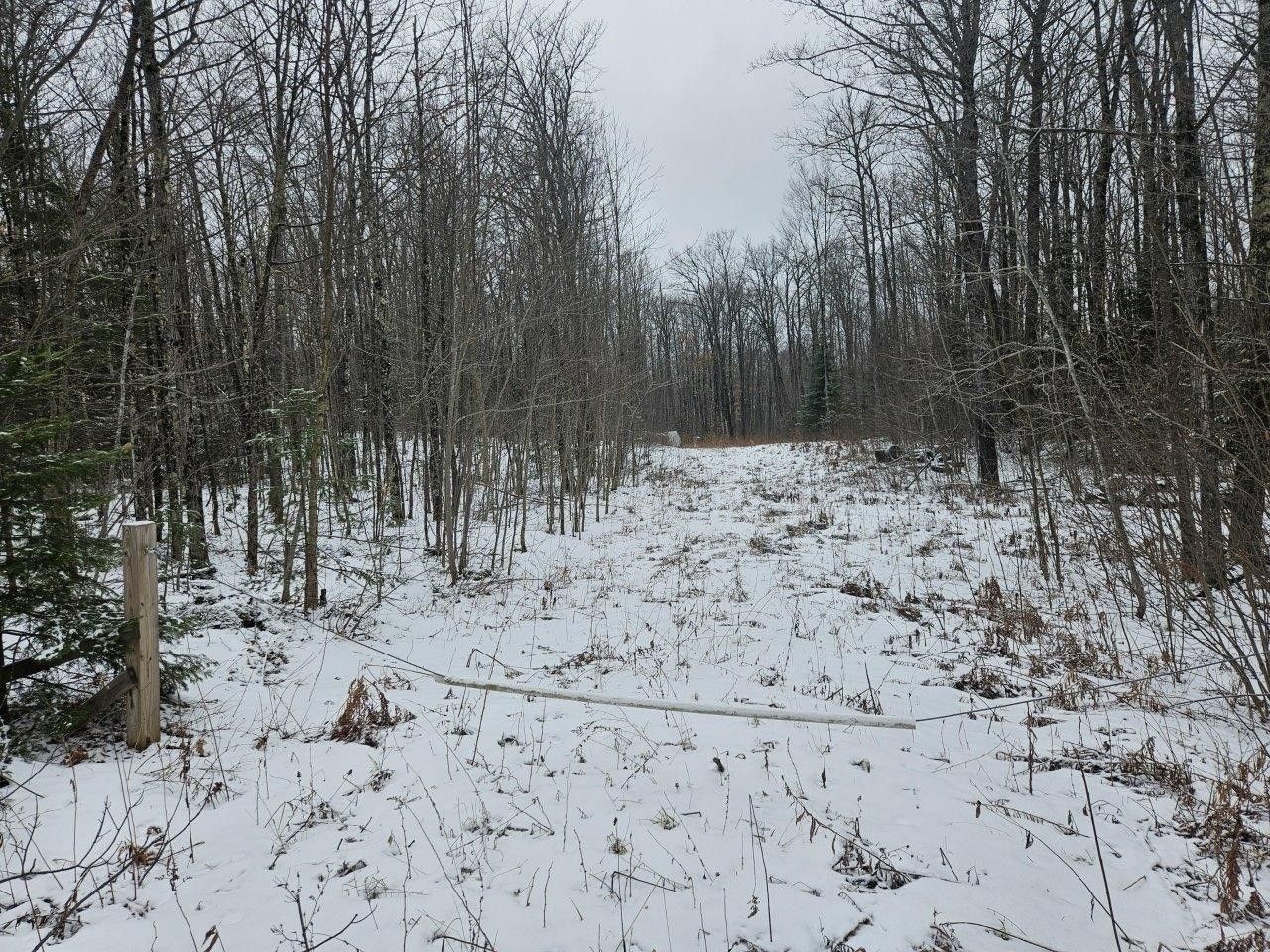 Mellen, Ashland County, WI Undeveloped Land for sale Property ID