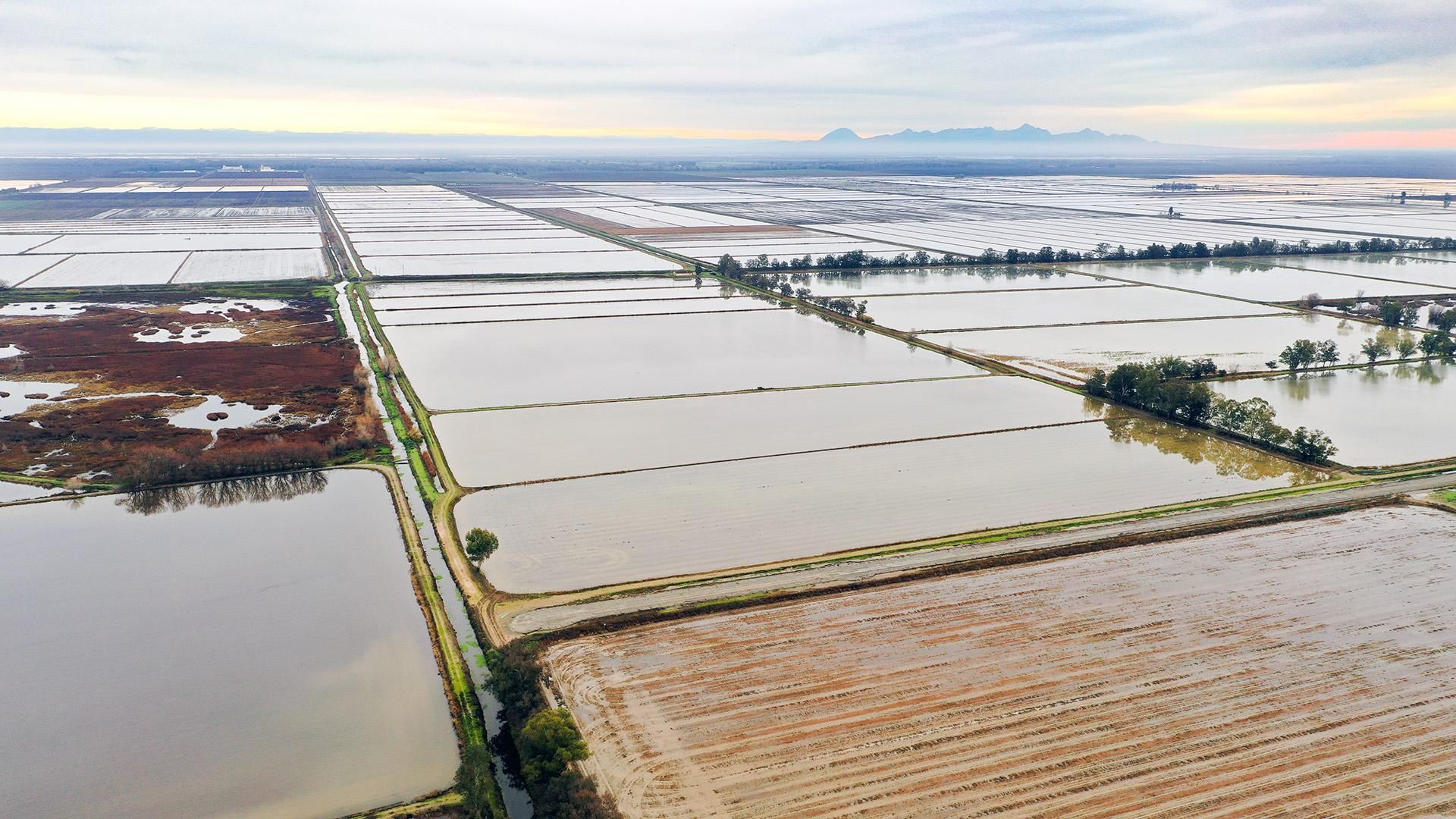 Colusa, Colusa County, CA Farms and Ranches, Hunting Property, House