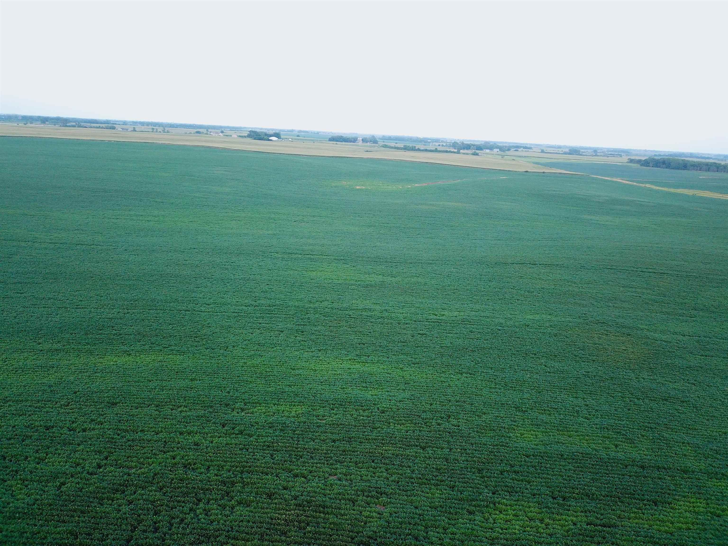 Chancellor, Turner County, SD Farms and Ranches for sale Property ID