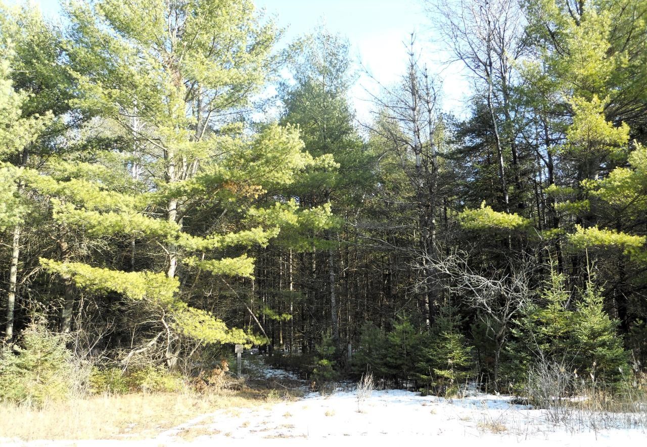 Rhinelander, Oneida County, WI Undeveloped Land for sale Property ID