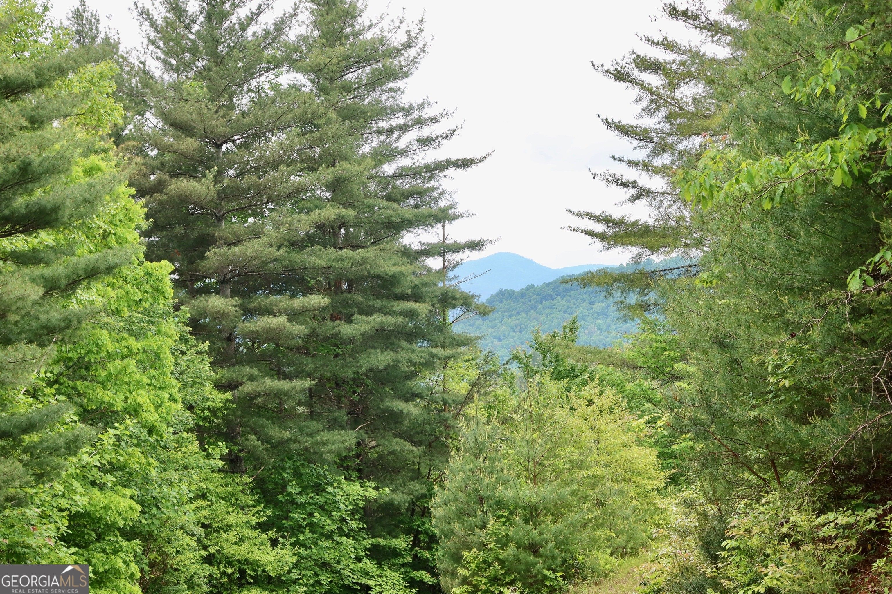 Dillard, Rabun County, GA Farms and Ranches, Homesites for sale Property ID 419061814 LandWatch