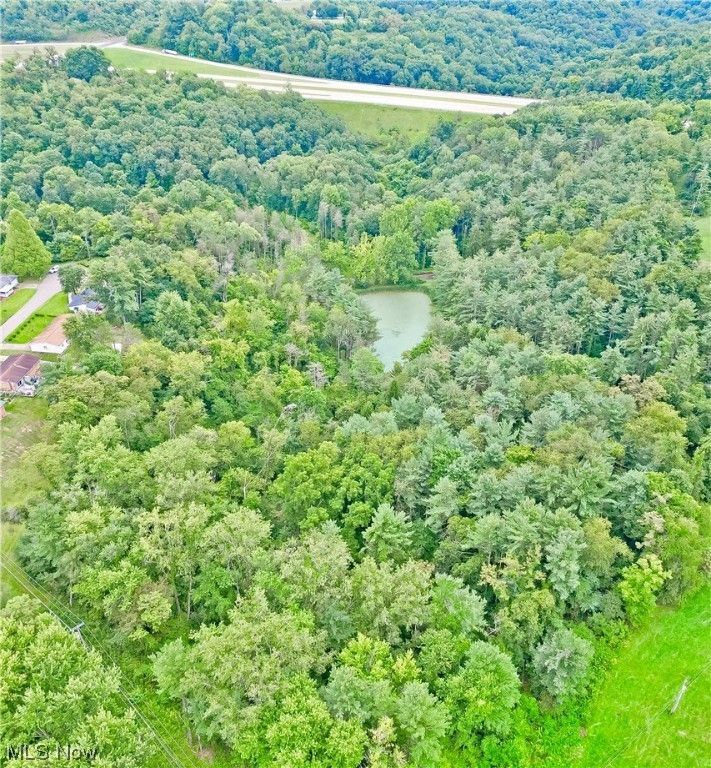 Bloomingdale, Jefferson County, OH Undeveloped Land for sale Property