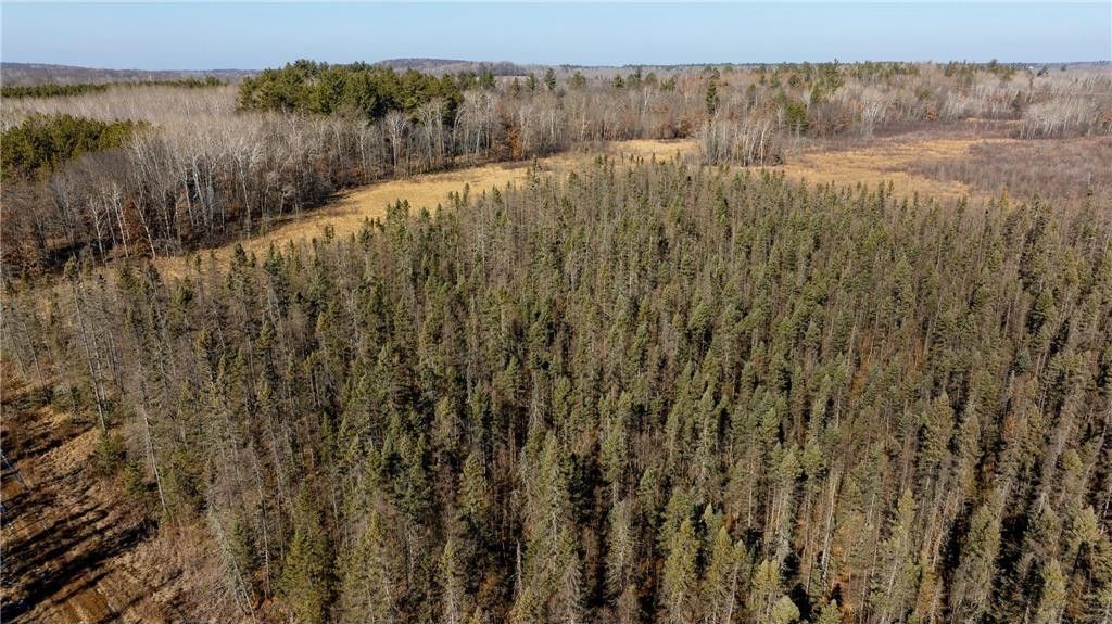 Pillager, Cass County, MN Undeveloped Land for sale Property ID