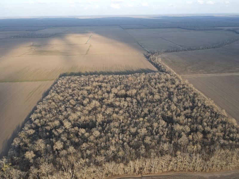 Waverly, Madison Parish, LA Recreational Property, Timberland Property