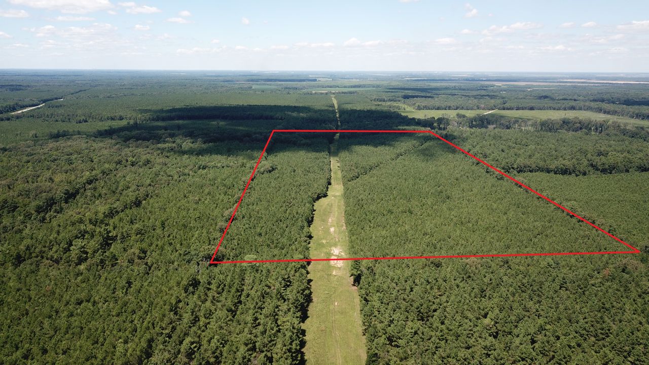 Pine Bluff, Lincoln County, AR Recreational Property, Timberland Property, Hunting Property for