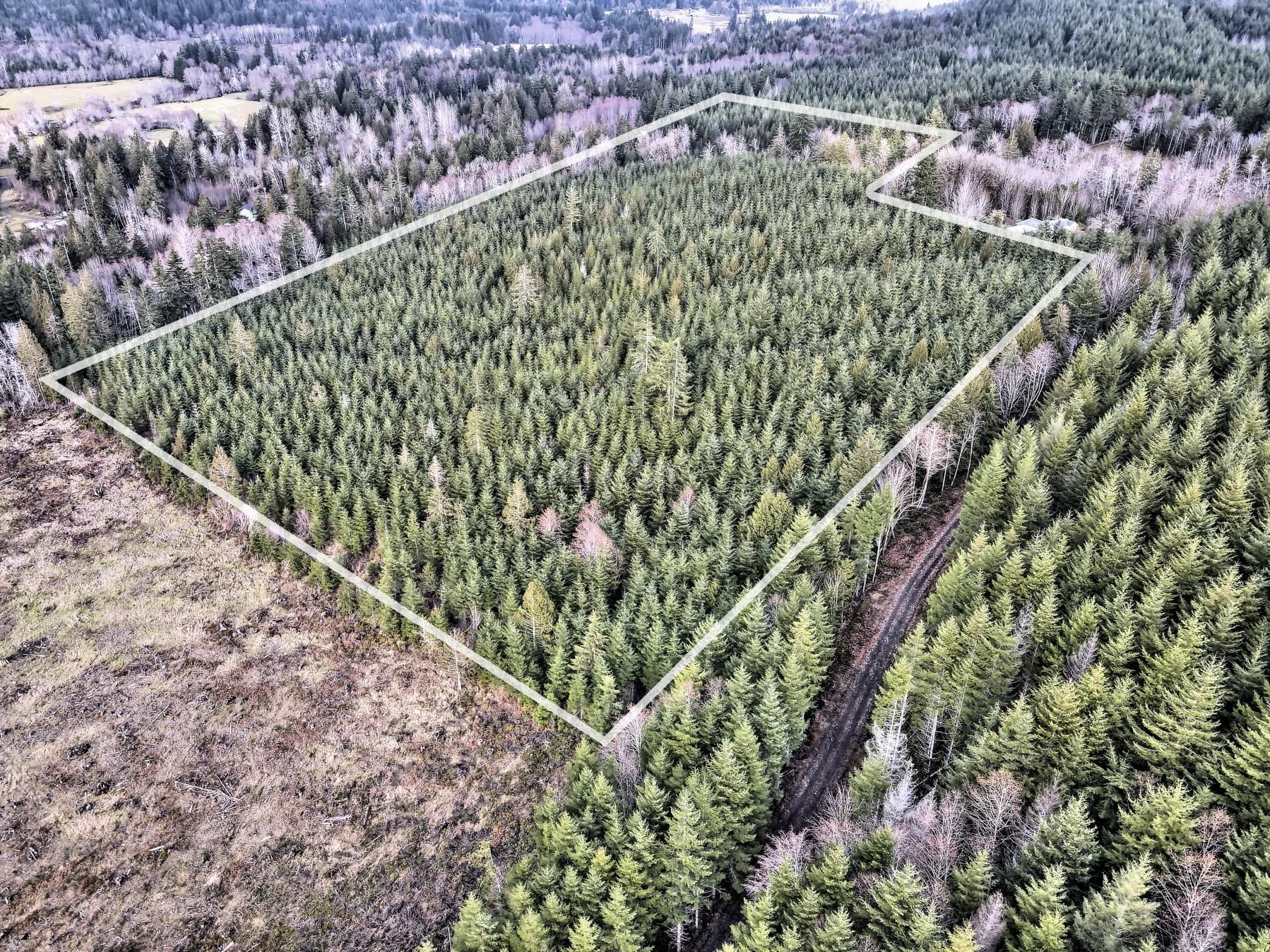 Shelton, Mason County, WA Timberland Property, Undeveloped Land for sale Property ID 417499689