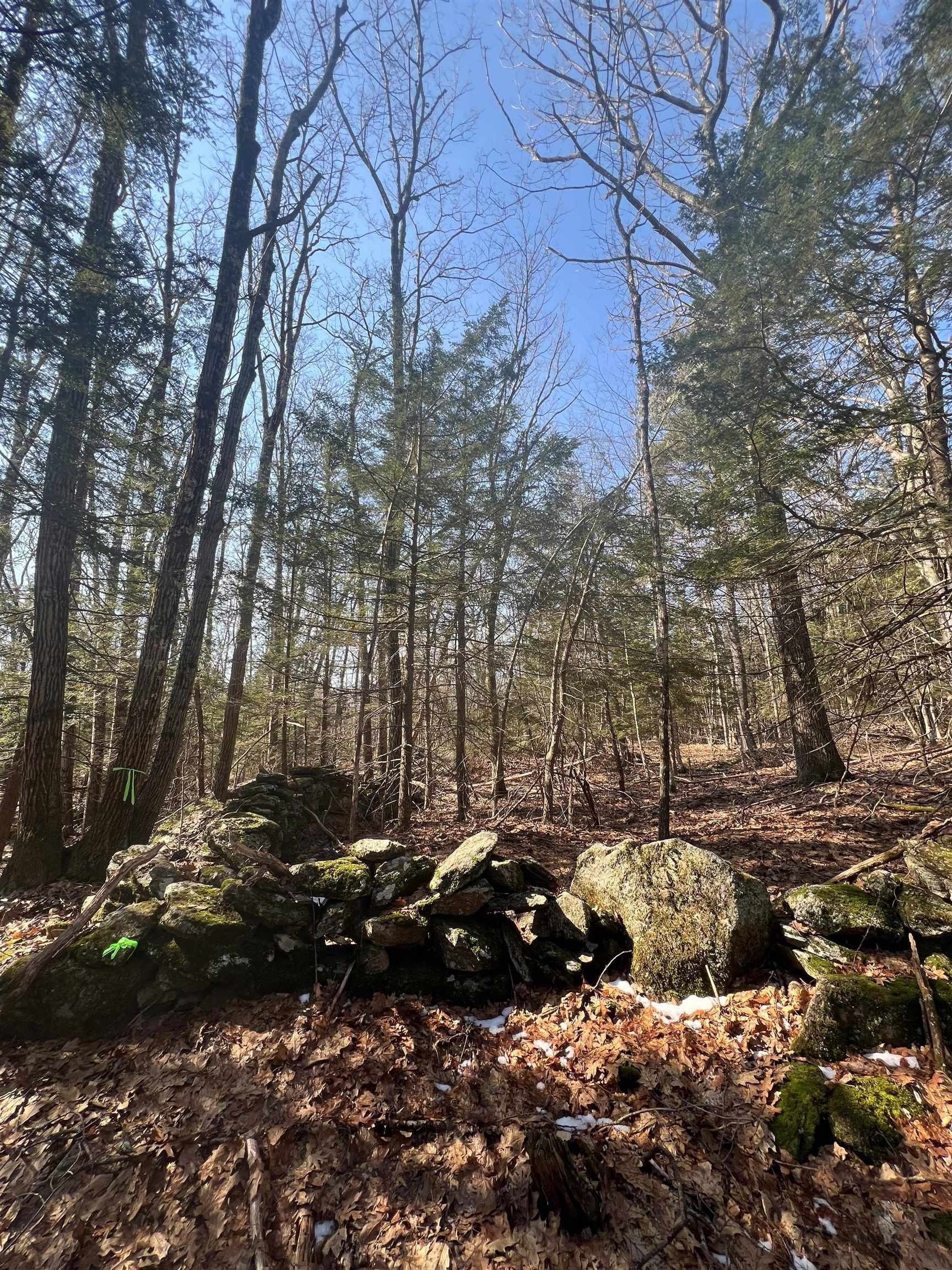 Keene, Cheshire County, NH Undeveloped Land for sale Property ID 419065869 LandWatch