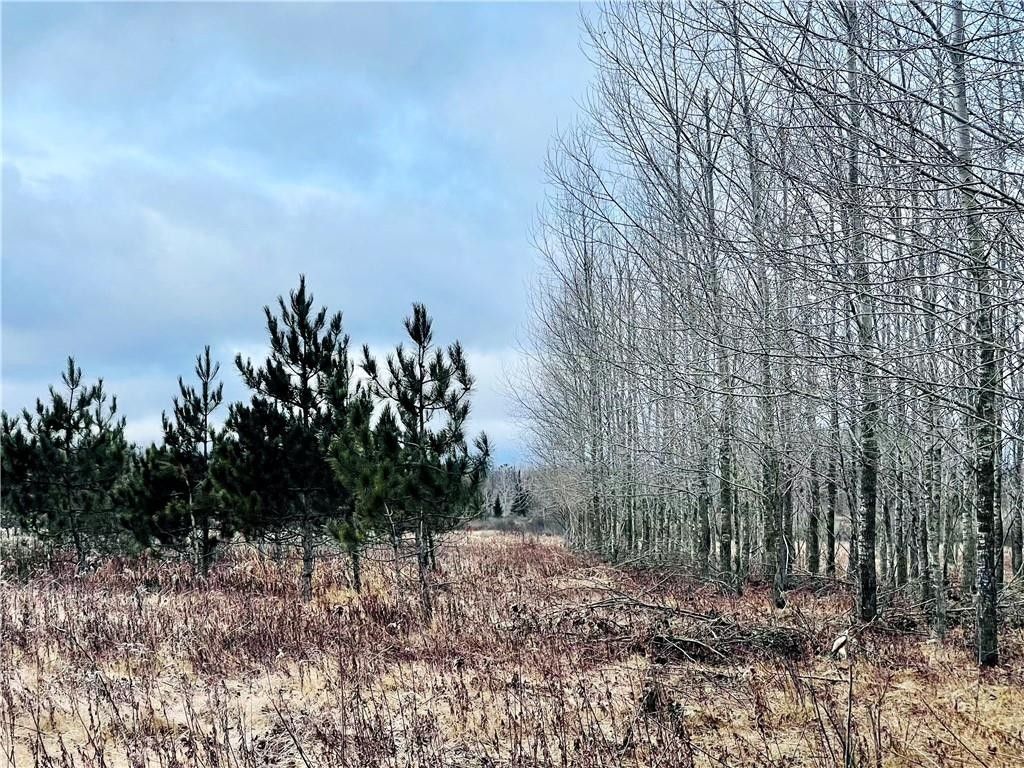 10 Acres HAMM Drive, Owen, WI 54460 MLS 1579808 LandWatch