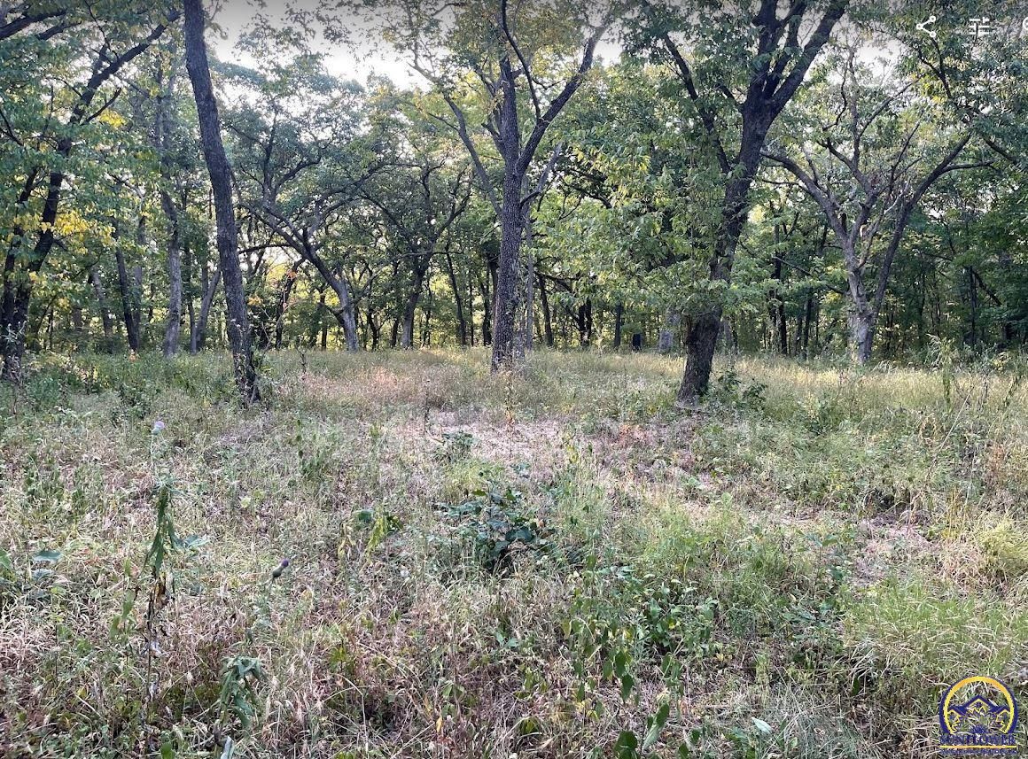 14651 Hayes Dr, Perry, KS 66073 MLS 231260 LandWatch