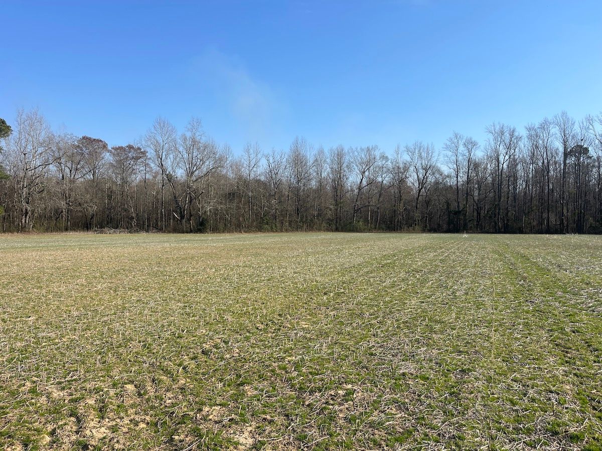 Off of Leary Mills Road, LotWP001, Vanceboro, NC 28586 LandWatch