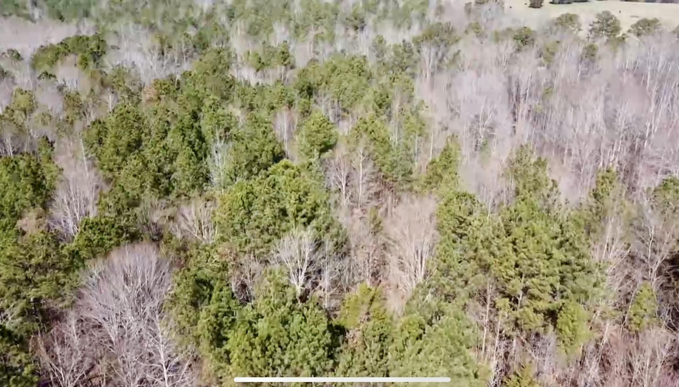 Chester, Chester County, SC Undeveloped Land for sale Property ID