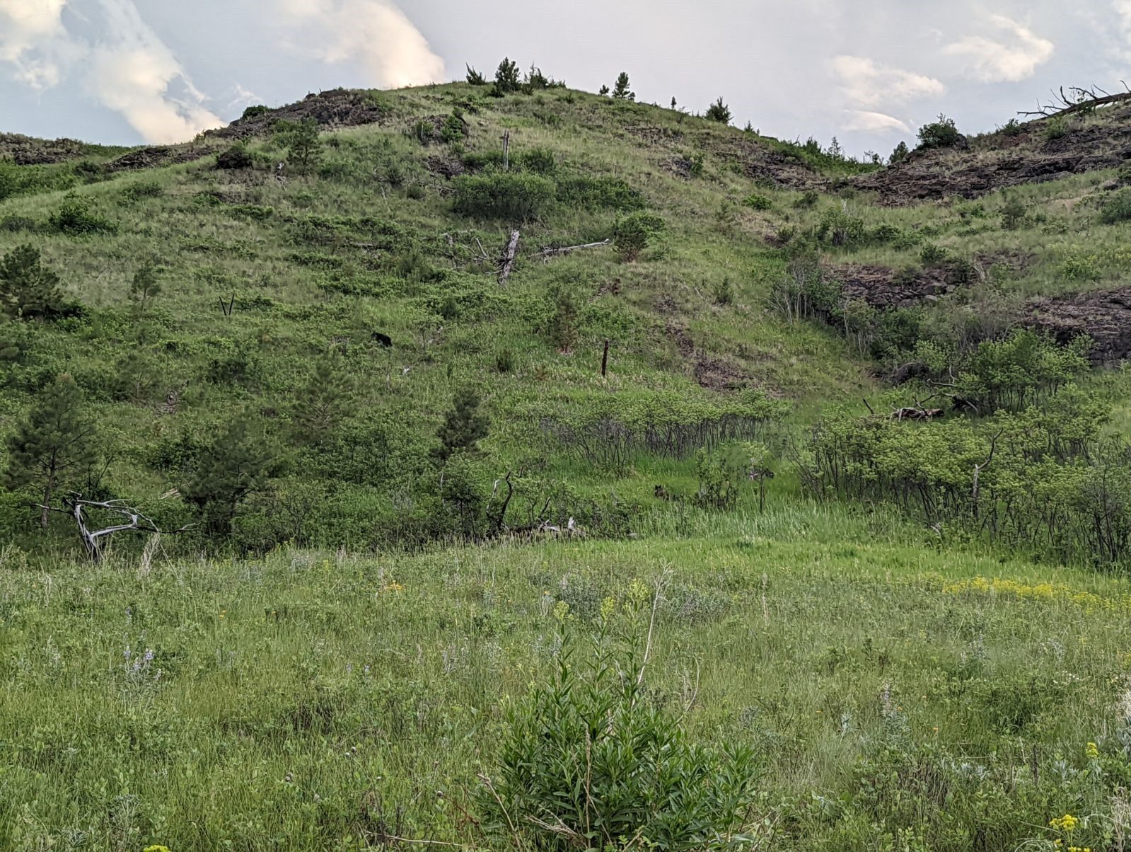 Cascade, Cascade County, MT Undeveloped Land for sale Property ID