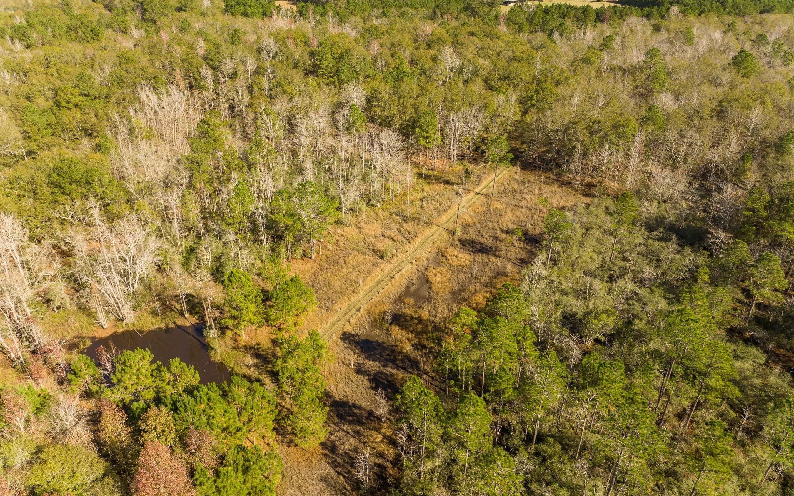 4488 Pond Town Rd, Brunson, SC 29911 MLS 183978 LandWatch