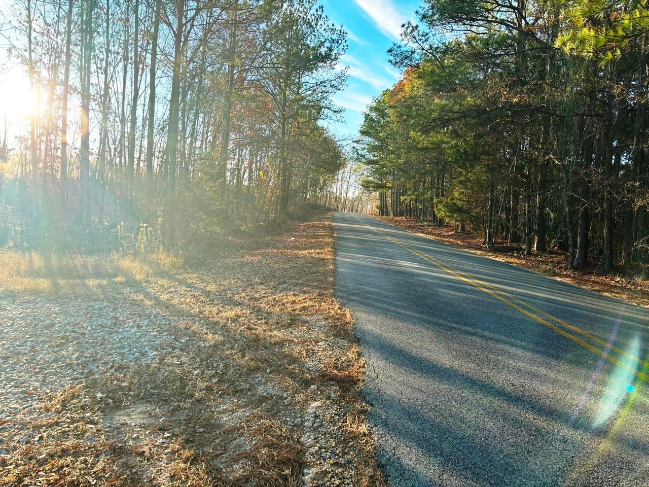 33.1 acres in Hodges, AL, 35571 LandWatch