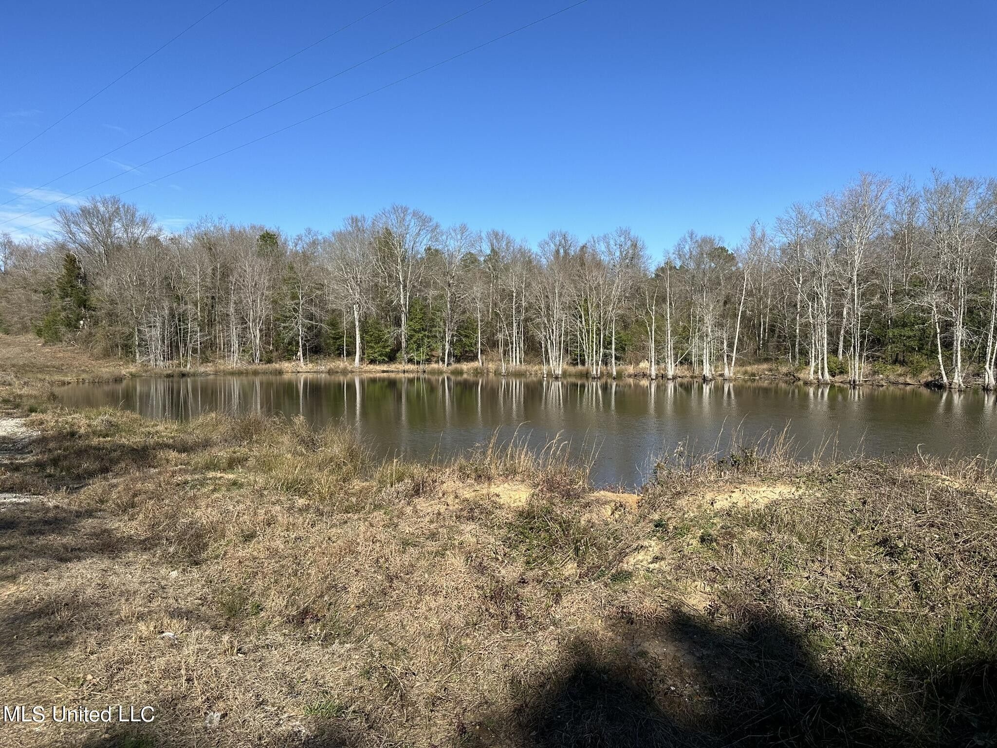 Union, Newton County, MS Undeveloped Land for sale Property ID