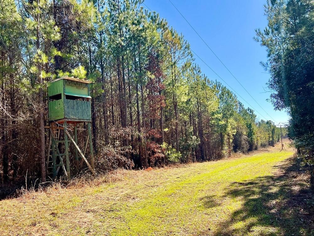 83 acres in Irwinton, GA, 31042 LandWatch