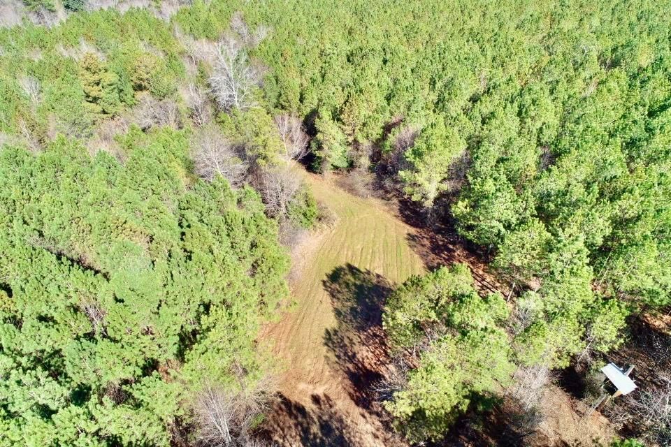 Irwinton, Wilkinson County, GA Recreational Property, Timberland