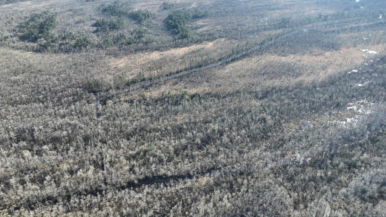 Starks, Calcasieu Parish, LA Recreational Property, Timberland Property