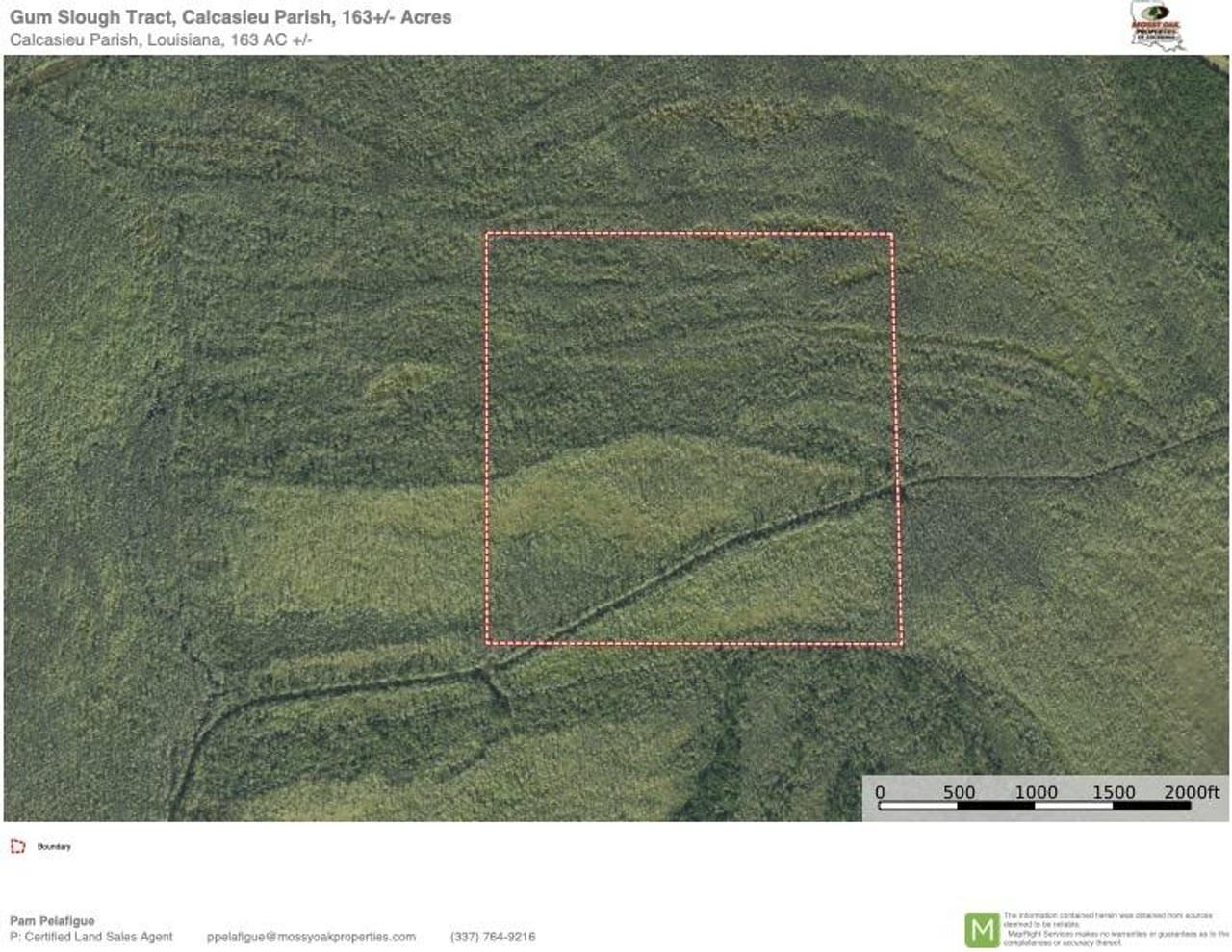 Vinton, Calcasieu Parish, LA Recreational Property, Timberland Property