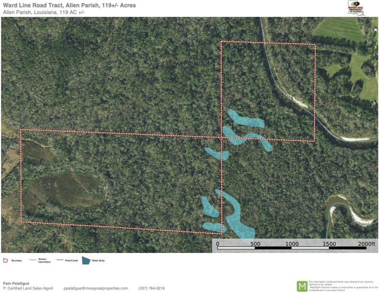 Kinder, Allen Parish, LA Recreational Property, Timberland Property