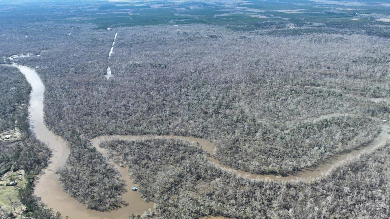 Kinder, Jefferson Davis Parish, LA Recreational Property, Timberland