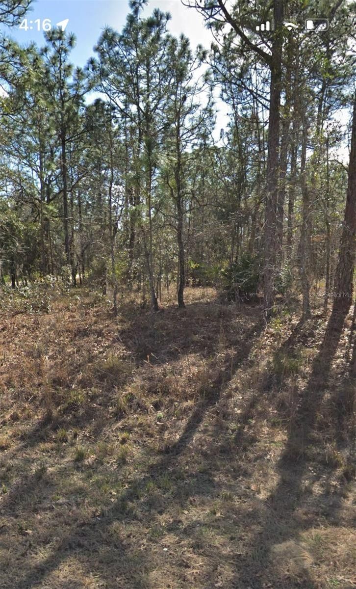 Weeki Wachee, Hernando County, FL Undeveloped Land, Homesites for sale