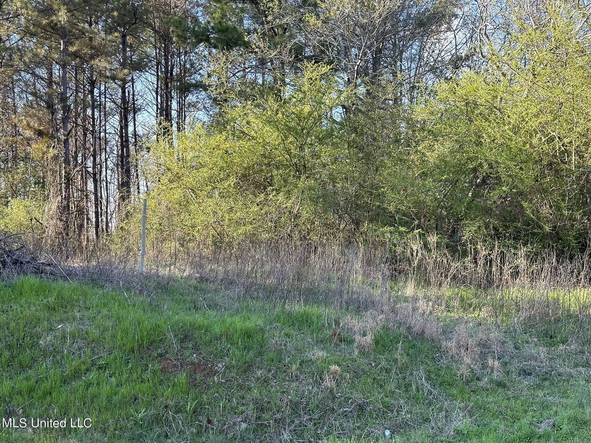 Union, Newton County, MS Undeveloped Land for sale Property ID