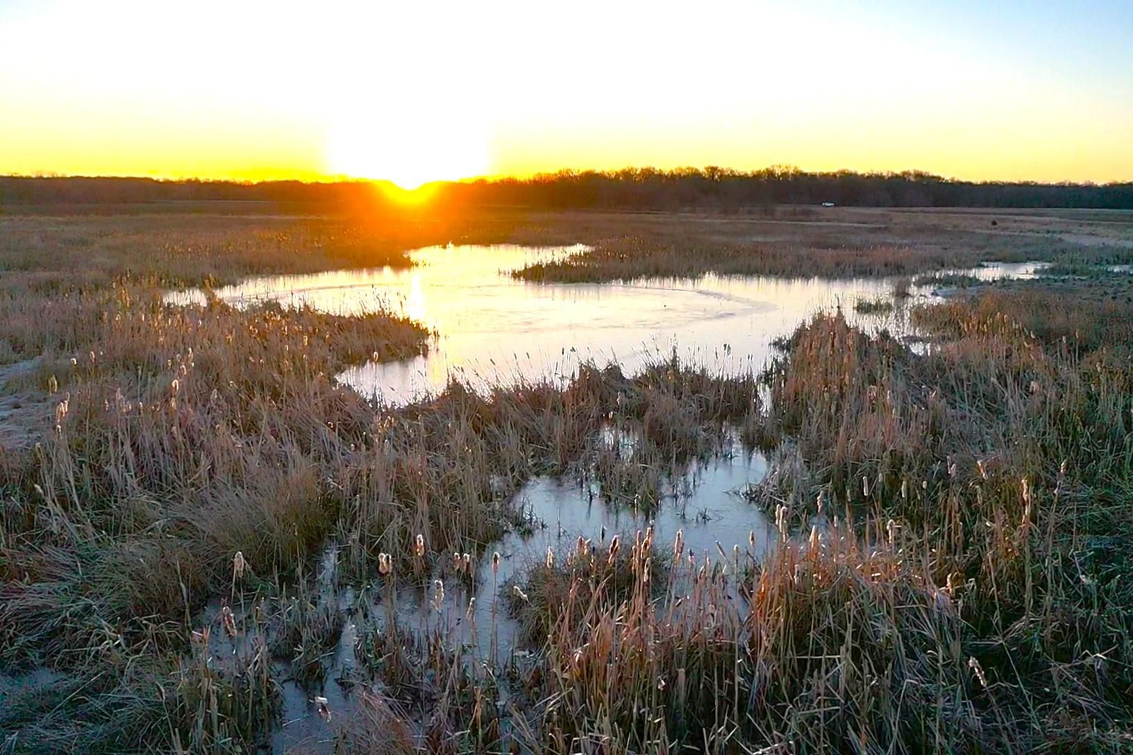 Centerville, Appanoose County, IA Recreational Property, Hunting