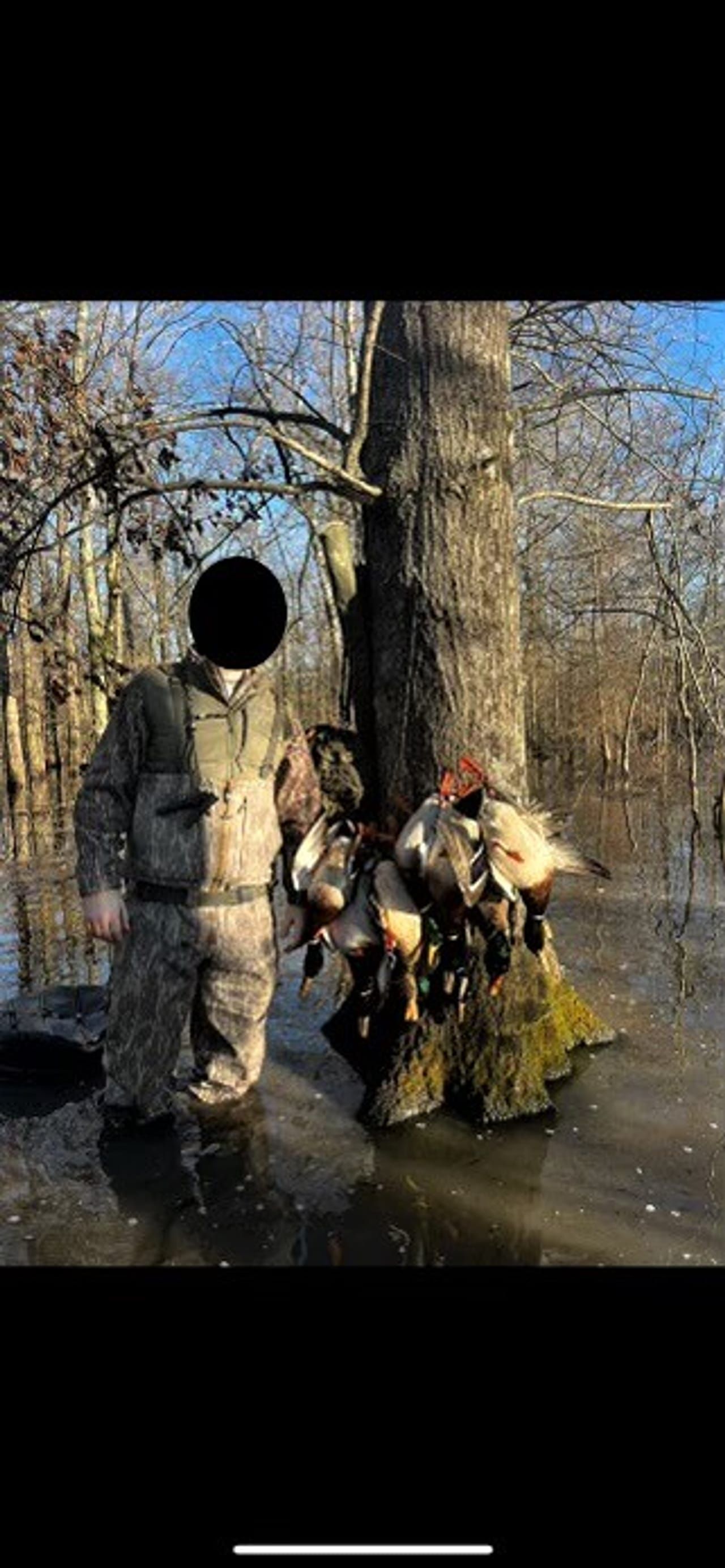 Pumpkin Bend, Woodruff County, AR Timberland Property, Hunting Property