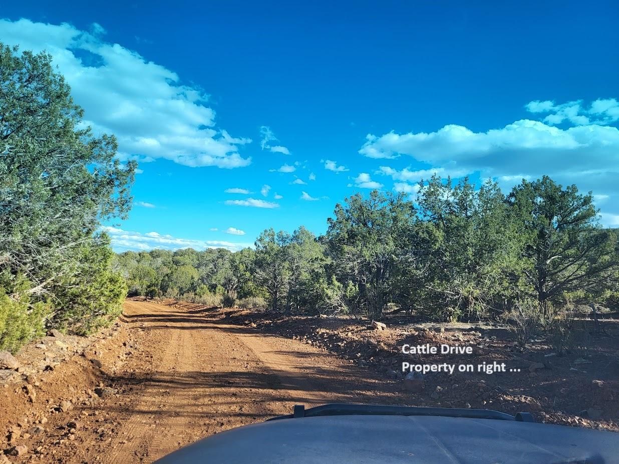 Williams, Coconino County, AZ Recreational Property, Hunting Property