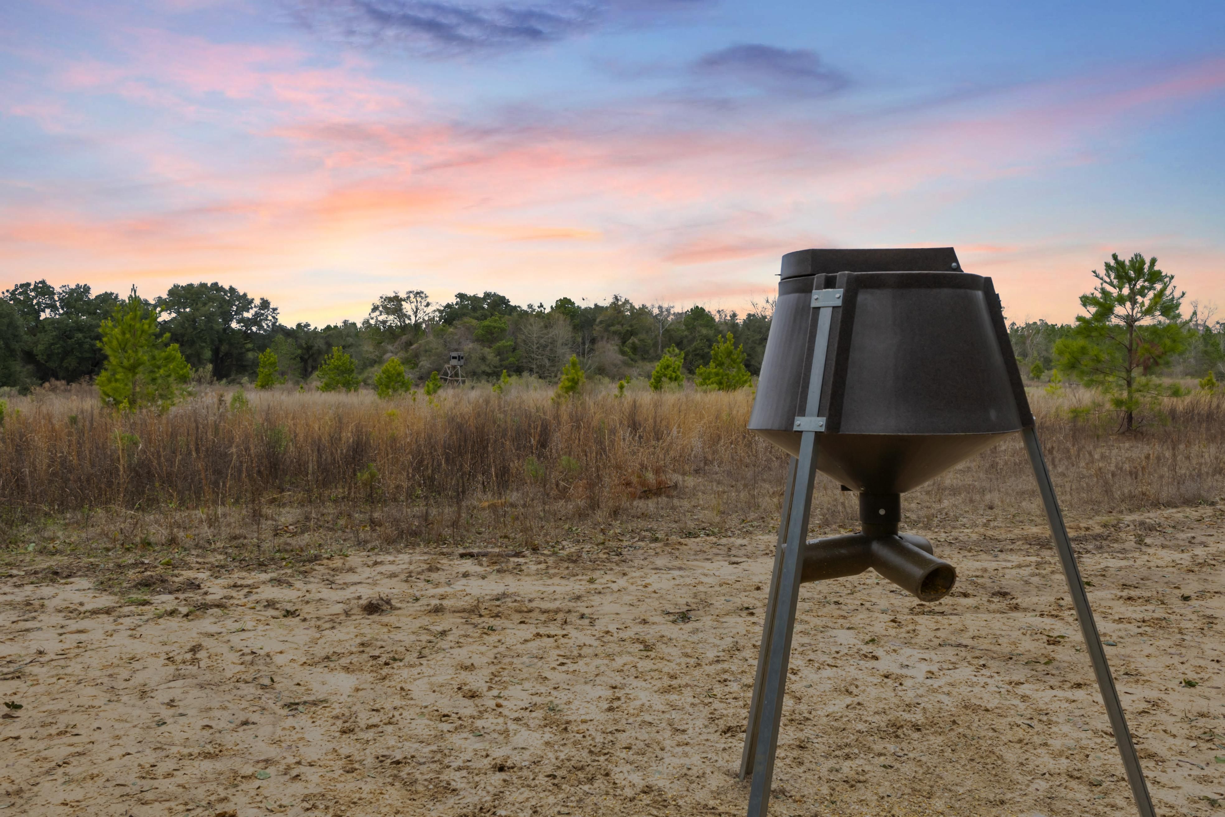 167 Blackberry Rd, Camilla, GA 31730 MLS LR160974A LandWatch