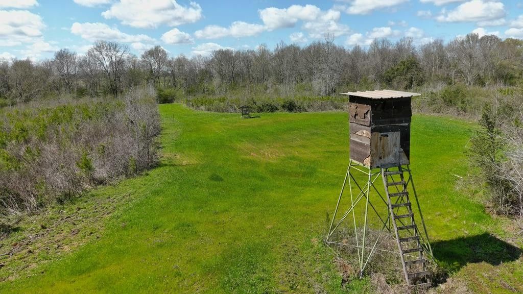 Ruth, Lincoln County, MS Undeveloped Land for sale Property ID