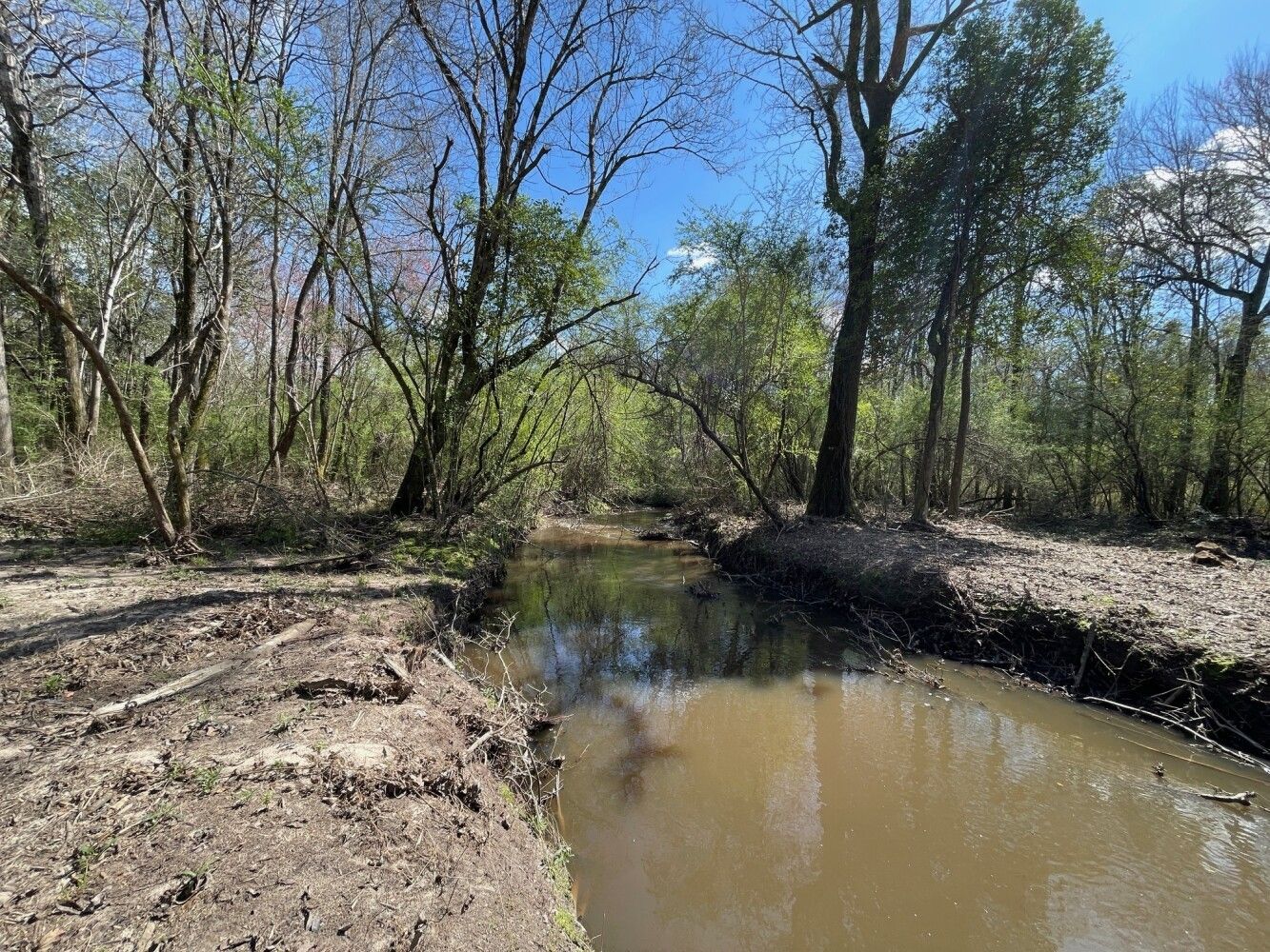 Sumrall, Lamar County, MS Undeveloped Land for sale Property ID